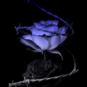 Fade In Blue